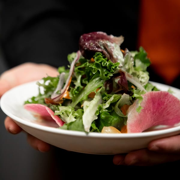 A fresh Italian salad with mixed greens, red onion, and radish slices in a white bowl.